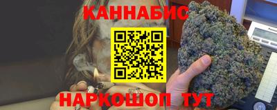 крисы Гатчина