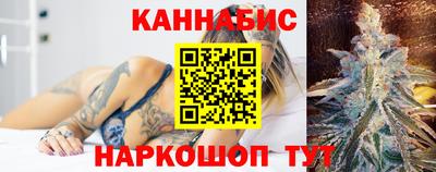 сатива Гай