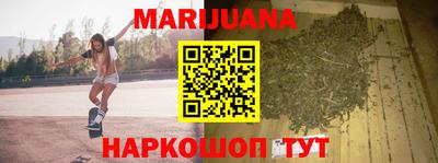 сатива Гай