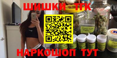крисы Гатчина