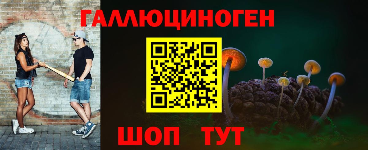 Псилоцибиновые грибы Psilocybe Балашиха